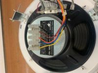 Лот: 19369653. Фото: 2. Monacor EDL-10TW / WS Потолочный... Аудиотехника