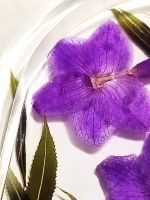 Лот: 24662383. Фото: 5. Органайзер для украшений / сухоцветы...