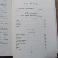 Лот: 25651256. Фото: 7. Книга Достоевский; Чехов. Серия...