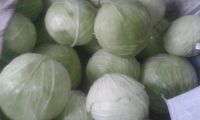 Лот: 6183091. Фото: 3. капуста с деревни,своя, почищенная... Красноярск
