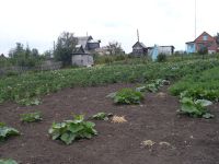 Лот: 14129554. Фото: 2. Участок. Продажа