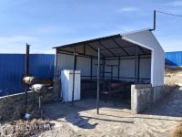 Лот: 25359917. Фото: 14. Продажа Дача Жемчужный, СТ Жемчужинка...