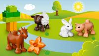 Лот: 5146086. Фото: 3. Конструктор LEGO Duplo 10522... Дети растут