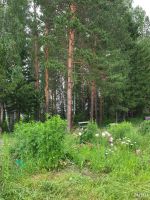 Лот: 13735655. Фото: 3. Дача, земельный участок. Недвижимость