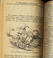 Лот: 14062094. Фото: 5. В. Львов. Соболь. Соболиный промысел...