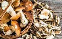 Лот: 18628399. Фото: 2. Белые грибы сушеные. Продукты
