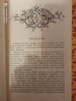 Лот: 18628167. Фото: 3. Княжна Тараканова. История самозванки... Красноярск