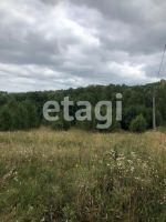 Лот: 25294820. Фото: 10. участок , ДНТ Роза Ветров ДНТ...