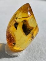 Лот: 25335699. Фото: 7. Янтарь с инклюзом