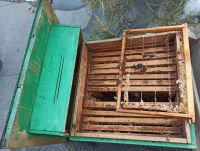 Лот: 17399338. Фото: 4. Улей с рамками