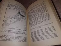Лот: 14799267. Фото: 4. Фицджеральд У. Африка. Социальная... Красноярск