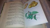 Лот: 5297538. Фото: 3. (3092339)(3092329)Плоды и ягоды... Литература, книги