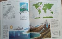 Лот: 21334426. Фото: 3. Энциклопедия "Почемучка". Литература, книги