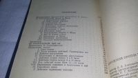 Лот: 5643843. Фото: 5. Пилсудский против Тухачевского...