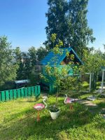 Лот: 25731501. Фото: 19. 1-комн. дача , садоводческое некоммерческое...