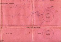 Лот: 7879736. Фото: 5. паспорт на дореволюционом бланке...