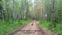 Лот: 18940771. Фото: 5. Земельный