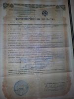 Лот: 3020712. Фото: 2. Липовый мёд.Урожай 2015. 600 руб... Продукты