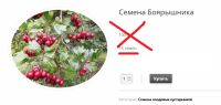 Лот: 18400633. Фото: 8. Боярка царская.крупная.семена