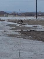 Лот: 11291863. Фото: 2. Продам отличный участок. Мат.кап... Продажа