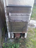 Лот: 14457791. Фото: 4. Холодильник Бирюса-22 и 2 морозилки... Красноярск