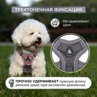 Лот: 21146153. Фото: 5. Шлейка для собак мелких и средних...