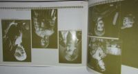 Лот: 19632944. Фото: 4. 100 лет МХАТ им. М. Горького... Красноярск