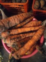 Лот: 22762841. Фото: 2. Картофель и Морковь со своего... Продукты