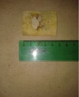 Лот: 19472346. Фото: 4. Этикетка Спич-ая не Разрешайте... Красноярск