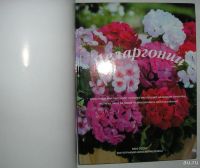 Лот: 13617859. Фото: 2. Пеларгонии. Эссер Миа. 2003 г. Дом, сад, досуг