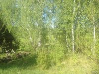 Лот: 8019665. Фото: 2. участок с двухэтажным домо 6*6... Продажа