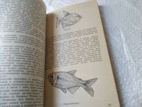Лот: 6925967. Фото: 12. Аквариум и водные растения, М...