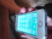 Лот: 4698497. Фото: 5. Iphone 5s, Обмен на Ipod touch...