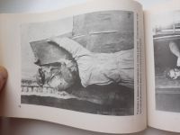 Лот: 14588965. Фото: 5. уникальная книга фотоальбом "Разрушение...