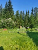 Лот: 25272581. Фото: 6. Дача 54 кв.м на участке 8 соток...