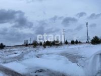 Лот: 25294889. Фото: 4. участок , садовые участки Штаны... Красноярск