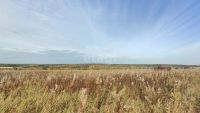 Лот: 25299428. Фото: 16. участок , дачное некоммерческое...