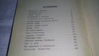 Лот: 11051945. Фото: 4. Америка - справа и слева: Путешествие... Красноярск