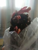 Лот: 14062792. Фото: 2. Пион Уайт Вингз. Семена, рассада, садовые растения