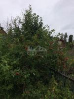 Лот: 14499151. Фото: 5. Продается дом 67 кв.м. 10 сот...