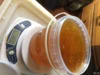 Лот: 13986858. Фото: 2. Мёд разнотравье Сибирское таежное... Продукты