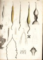 Лот: 18032872. Фото: 19. Протоколы заседаний императорского...