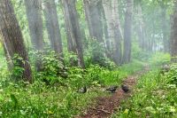 Лот: 6267764. Фото: 12. Отличный портретный объектив...