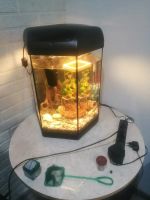 Лот: 16601001. Фото: 2. Аквариум шестиугольный Aquael... Аквариумистика
