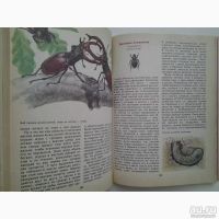 Лот: 18561755. Фото: 6. Никитский Николай, Сидоров Андрей...