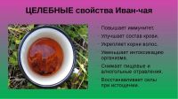 Лот: 12130737. Фото: 2. Иван-чай (ручная сборка и сушка... Продукты