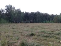 Лот: 9966205. Фото: 4. Участок. Элита. СНТ "Горки Элитовские... Красноярск
