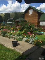 Лот: 8879044. Фото: 3. Дачный участок в п. Солонцы. Красноярск