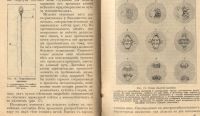 Лот: 19932315. Фото: 14. Тезинг К. Размножение и наследственность...