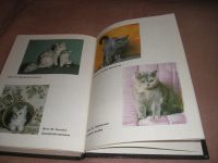 Лот: 5415813. Фото: 2. Книга "Кошки, коты, котята". Дом, сад, досуг